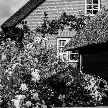 In With Swimming Pool Midlum (Schleswig-Holstein)